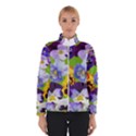 Spring Pansy Blossom Bloom Plant Winterwear View1