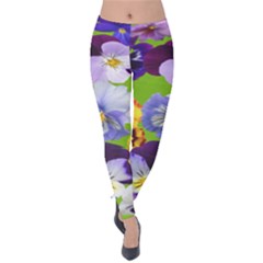 Spring Pansy Blossom Bloom Plant Velvet Leggings by Nexatart