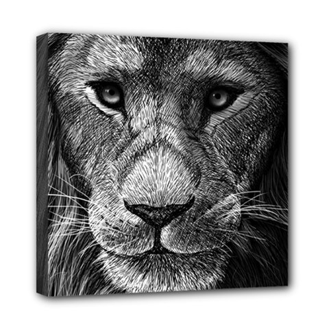 My Lion Sketch Mini Canvas 8  X 8  by 1871930