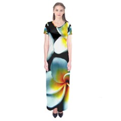 Flowers Black White Bunch Floral Short Sleeve Maxi Dress by Nexatart