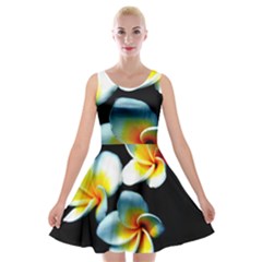 Flowers Black White Bunch Floral Velvet Skater Dress by Nexatart