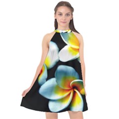 Flowers Black White Bunch Floral Halter Neckline Chiffon Dress  by Nexatart