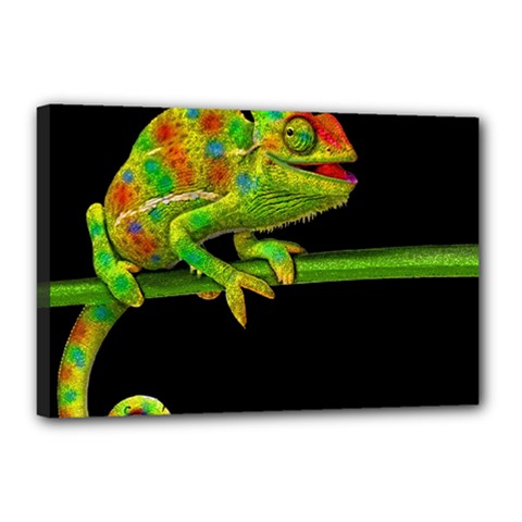 Chameleons Canvas 18  X 12  by Valentinaart