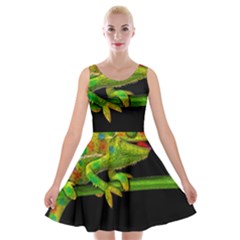 Chameleons Velvet Skater Dress by Valentinaart