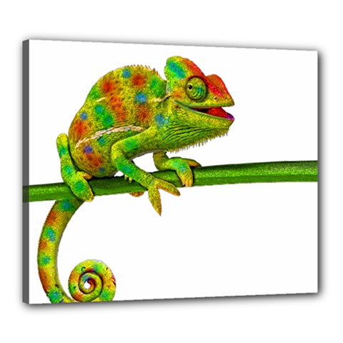 Chameleons Canvas 24  X 20  by Valentinaart