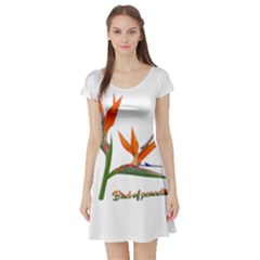 Bird Of Paradise Short Sleeve Skater Dress by Valentinaart