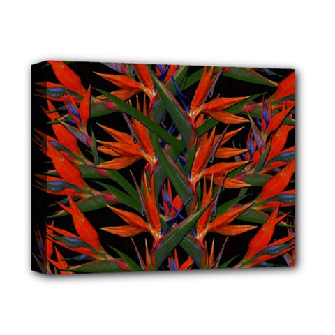 Bird Of Paradise Deluxe Canvas 14  X 11  by Valentinaart