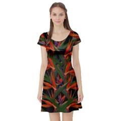 Bird Of Paradise Short Sleeve Skater Dress by Valentinaart