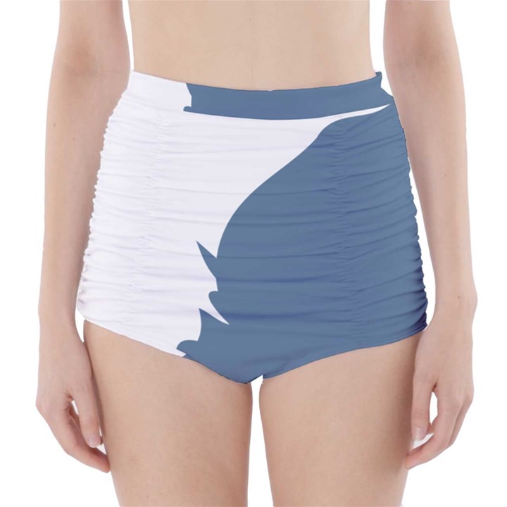 Blue White Hill High-Waisted Bikini Bottoms