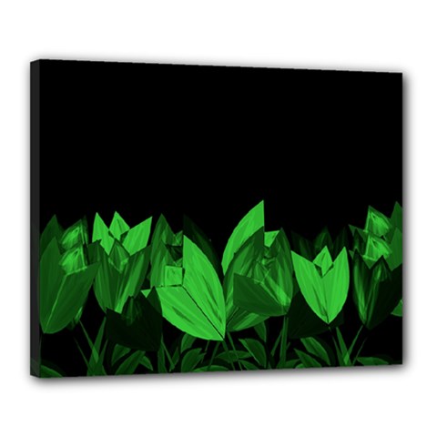 Tulips Canvas 20  X 16  by ValentinaDesign