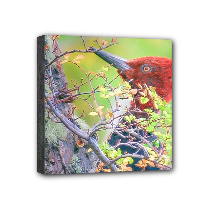 Woodpecker At Forest Pecking Tree, Patagonia, Argentina Mini Canvas 4  x 4 