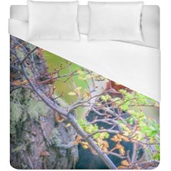 Woodpecker At Forest Pecking Tree, Patagonia, Argentina Duvet Cover (king Size) by dflcprints