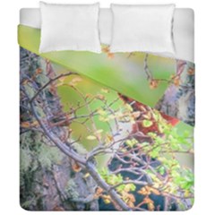 Woodpecker At Forest Pecking Tree, Patagonia, Argentina Duvet Cover Double Side (california King Size) by dflcprints