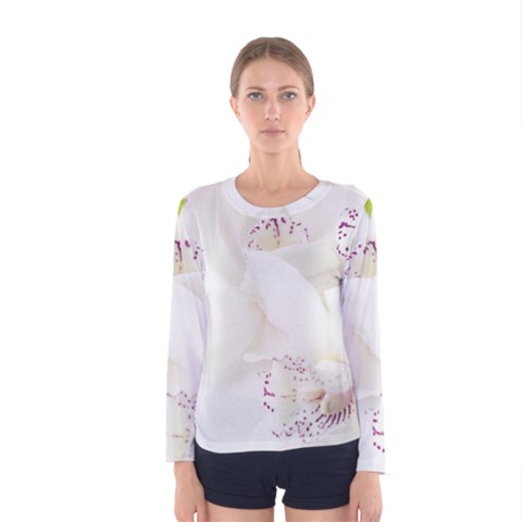 Orchids Flowers White Background Women s Long Sleeve Tee by Nexatart