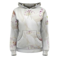 Orchids Flowers White Background Women s Pullover Hoodie by Nexatart