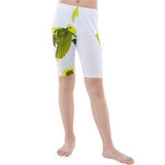 Leaves Nature Kids  Mid Length Swim Shorts by Nexatart