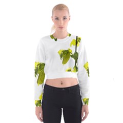 Leaves Nature Cropped Sweatshirt by Nexatart