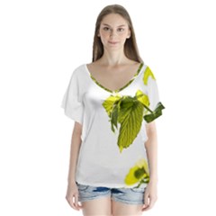 Leaves Nature Flutter Sleeve Top by Nexatart