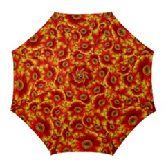 Gerbera Flowers Nature Plant Golf Umbrellas by Nexatart