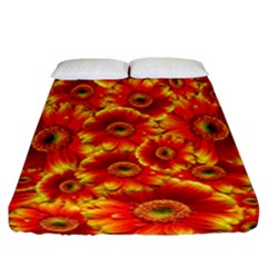 Gerbera Flowers Nature Plant Fitted Sheet (california King Size) by Nexatart