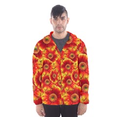 Gerbera Flowers Nature Plant Hooded Wind Breaker (men) by Nexatart