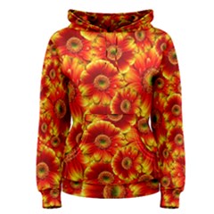 Gerbera Flowers Nature Plant Women s Pullover Hoodie by Nexatart