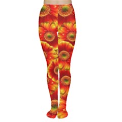 Gerbera Flowers Nature Plant Women s Tights by Nexatart