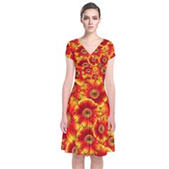 Gerbera Flowers Nature Plant Short Sleeve Front Wrap Dress by Nexatart