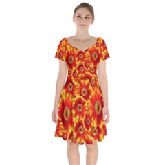 Gerbera Flowers Nature Plant Short Sleeve Bardot Dress