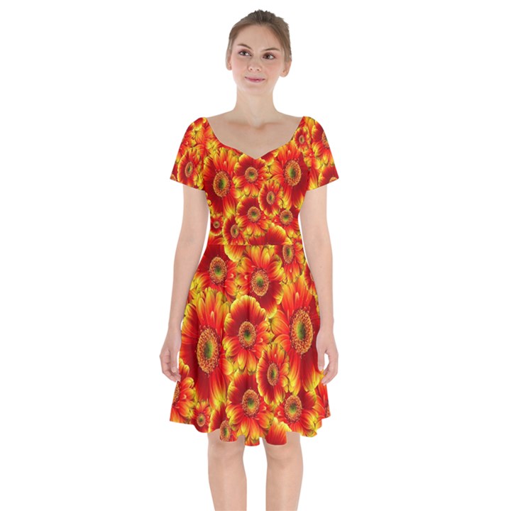 Gerbera Flowers Nature Plant Short Sleeve Bardot Dress