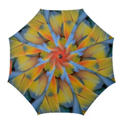 Spring Parrot Parrot Feathers Ara Golf Umbrellas by Nexatart