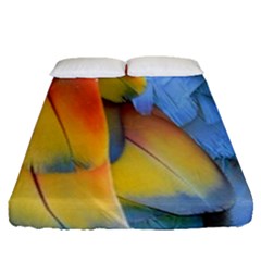 Spring Parrot Parrot Feathers Ara Fitted Sheet (queen Size) by Nexatart