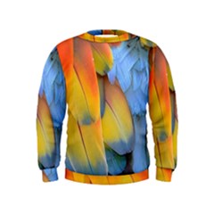 Spring Parrot Parrot Feathers Ara Kids  Sweatshirt by Nexatart