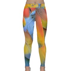 Spring Parrot Parrot Feathers Ara Classic Yoga Leggings by Nexatart