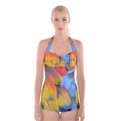 Spring Parrot Parrot Feathers Ara Boyleg Halter Swimsuit  by Nexatart