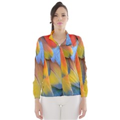 Spring Parrot Parrot Feathers Ara Wind Breaker (women) by Nexatart