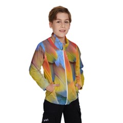 Spring Parrot Parrot Feathers Ara Wind Breaker (kids) by Nexatart