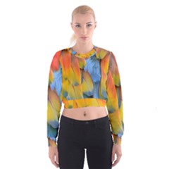 Spring Parrot Parrot Feathers Ara Cropped Sweatshirt by Nexatart