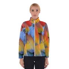 Spring Parrot Parrot Feathers Ara Winterwear by Nexatart