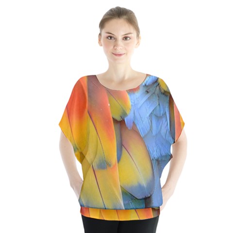 Spring Parrot Parrot Feathers Ara Blouse by Nexatart