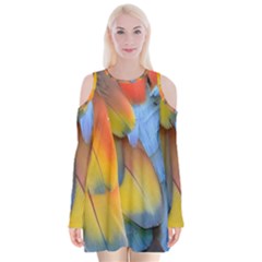 Spring Parrot Parrot Feathers Ara Velvet Long Sleeve Shoulder Cutout Dress by Nexatart