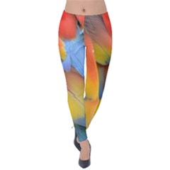 Spring Parrot Parrot Feathers Ara Velvet Leggings by Nexatart