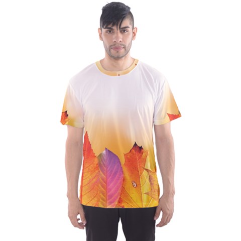 Autumn Leaves Colorful Fall Foliage Men s Sports Mesh Tee by Nexatart