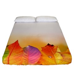 Autumn Leaves Colorful Fall Foliage Fitted Sheet (california King Size) by Nexatart