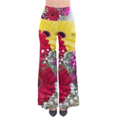 Flowers Gerbera Floral Spring Pants by Nexatart