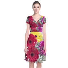 Flowers Gerbera Floral Spring Short Sleeve Front Wrap Dress by Nexatart