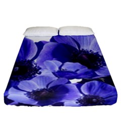 Poppy Blossom Bloom Summer Fitted Sheet (queen Size) by Nexatart