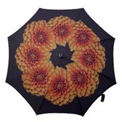 Art Beautiful Bloom Blossom Bright Hook Handle Umbrellas (medium) by Nexatart