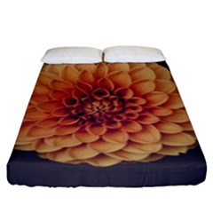 Art Beautiful Bloom Blossom Bright Fitted Sheet (king Size) by Nexatart