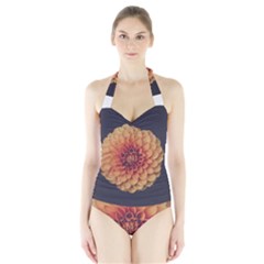 Art Beautiful Bloom Blossom Bright Halter Swimsuit by Nexatart